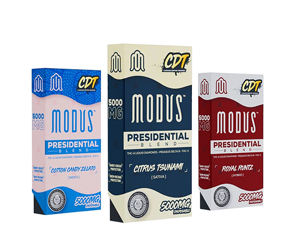 Modus Presidential Blend Disposable | 5gm